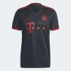ADIDAS Men's FC Bayern 2022/2023 3rd Jersey - Night Grey