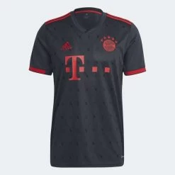 ADIDAS Men's FC Bayern 2022/2023 3rd Jersey - Night Grey