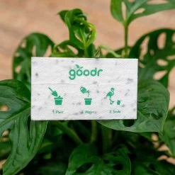 Goodr Plant Buy Me Love Sunglasses 8 Goodr Plant Buy Me Love Sunglasses -Sportswear Sales Store 4 LaunchName Packaging bf5e7c83 e295 41c8 9cd2 206d3d9c90d4