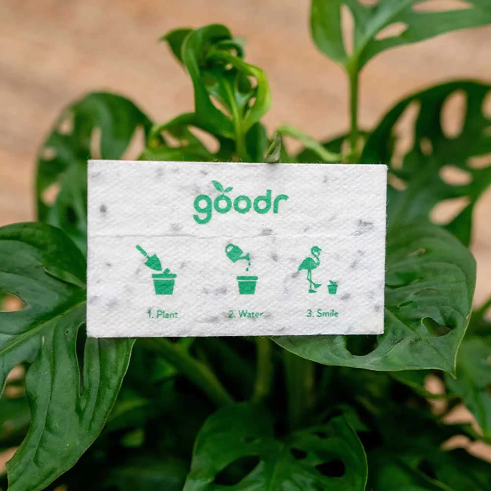 Goodr Plant Buy Me Love Sunglasses 4 Goodr Plant Buy Me Love Sunglasses - Image 4