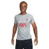 Nike Men's Liverpool FC Prematch Short Sleeve - Wolf Grey/Tough Red